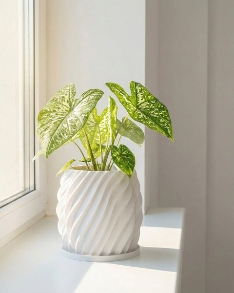 A white planter pot with a green plant inside sits on a windowsill. The pot has a unique, swirling design.