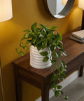A vibrant green pothos plant spills from a white, ridged planter pot on a dark wood table, creating a fresh, natural accent.