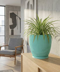 A turquoise planter with a spider plant sits on a wooden cabinet in a modern living room.