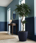 A navy blue planter pot with a textured, rope-like design, holding a lush green tree, sits in a stylish entryway.