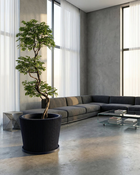 A blue planter pot with a green plant sits on a wooden console table in front of a blue wall with a round mirror.