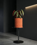 A stylish orange planter pot with a geometric design holds a vibrant plant with spotted leaves, displayed on a sleek black table against a dark backdrop.