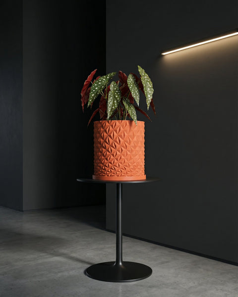 A stylish orange planter pot with a geometric design holds a vibrant plant with spotted leaves, displayed on a sleek black table against a dark backdrop.