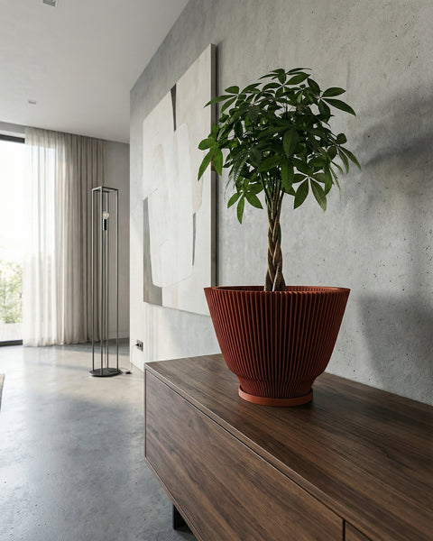 A money tree plant in a ribbed, terracotta-colored planter pot sits on a dark wood cabinet against a textured gray wall. In the background, a modern floor lamp stands near a window with sheer white curtains.
