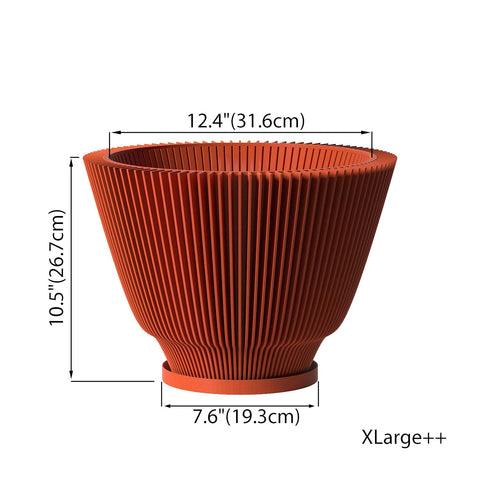 Terracotta Orange Dawn