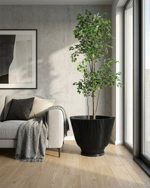 A modern living room features a light gray couch with a dark gray pillow and a beige pillow, draped with a gray knit blanket. Beside the couch stands a tall, elegant black planter pot filled with a lush green tree, positioned near a large window that lets in natural light. A framed abstract artwork hangs on the concrete-textured wall behind the couch. The room is finished with light wood flooring.