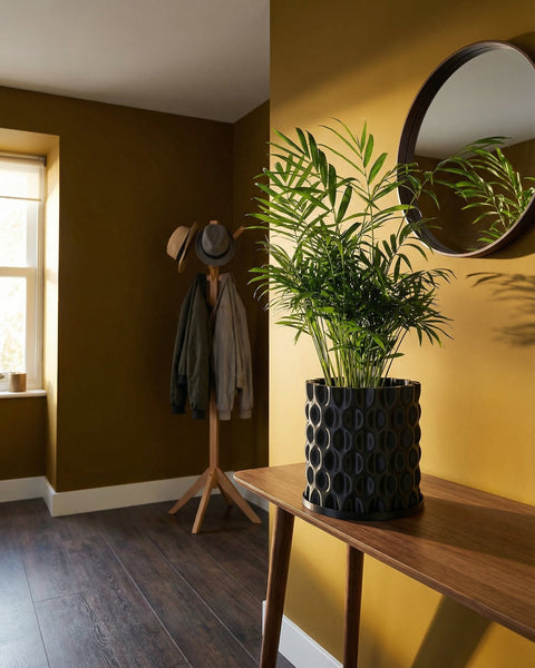 A black planter pot with a plant sits on a wooden table in a room with a mirror and coat rack.