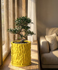 A vibrant yellow planter pot with a unique textured surface, holding a small bonsai tree, sits on a wooden windowsill.