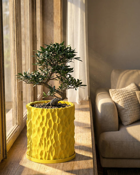 A vibrant yellow planter pot with a unique textured surface, holding a small bonsai tree, sits on a wooden windowsill.