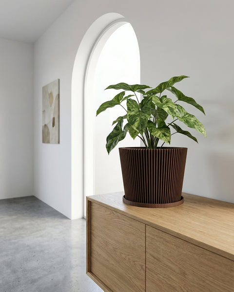 A begonia plant sits in a brown planter pot with a geometric pattern, placed on a wooden table against a yellow wall.
