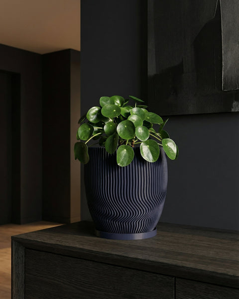 A Pilea peperomioides plant in a dark blue, wavy-textured planter pot sits on a dark wood cabinet against a dark wall.