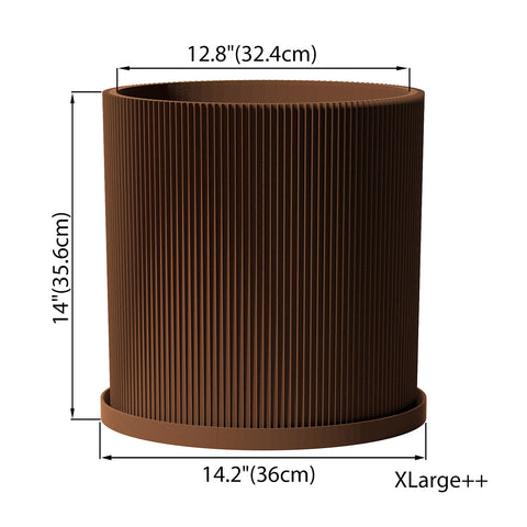 Nut Brown Ray