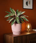 A pink planter pot with a plant on a wooden cabinet. A lamp and framed artwork are also visible.