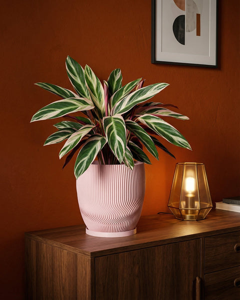A pink planter pot with a plant on a wooden cabinet. A lamp and framed artwork are also visible.