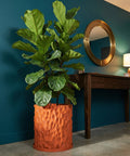 A fiddle leaf fig plant in an orange planter pot sits next to a dark wood console table with a gold mirror above it.