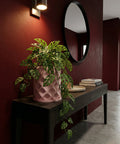 A pink planter pot with a green plant sits on a dark wood table against a red wall with a mirror and light fixture.