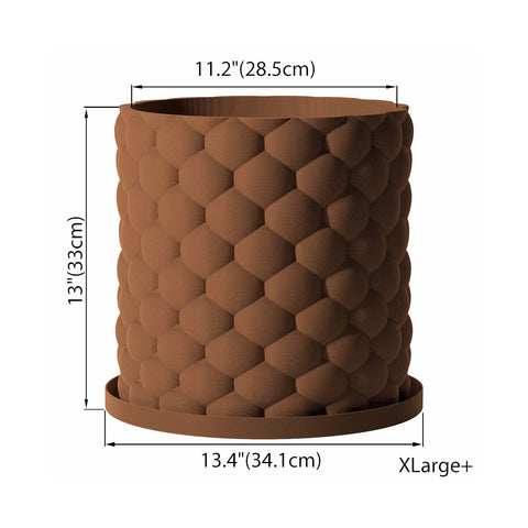 Nut Brown Bubble