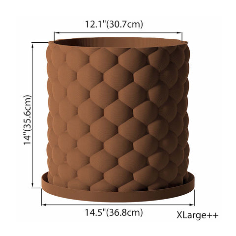 Nut Brown Bubble