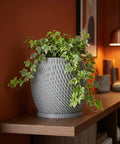 A gray planter pot with a green ivy plant sits on a wooden shelf against a rust-colored wall.