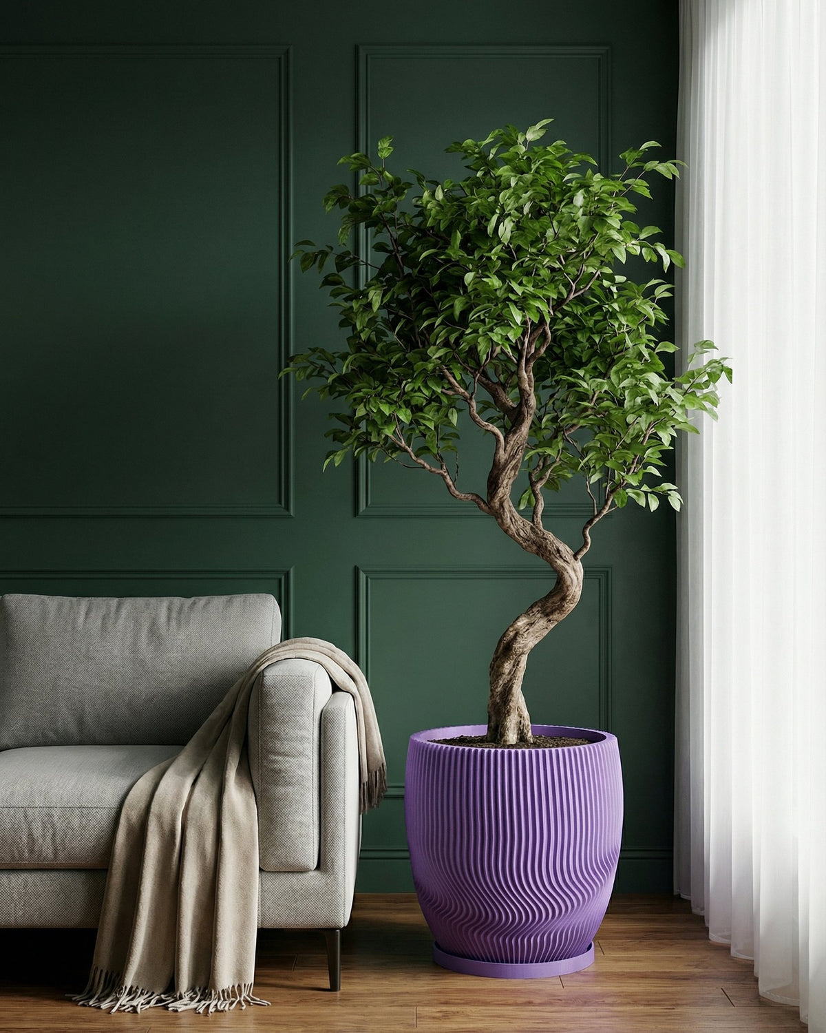 A purple planter pot with a tree in it sits next to a gray couch with a blanket draped over the arm.