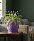 A spider plant in a purple planter pot sits on a dark wood table next to a gray sofa.