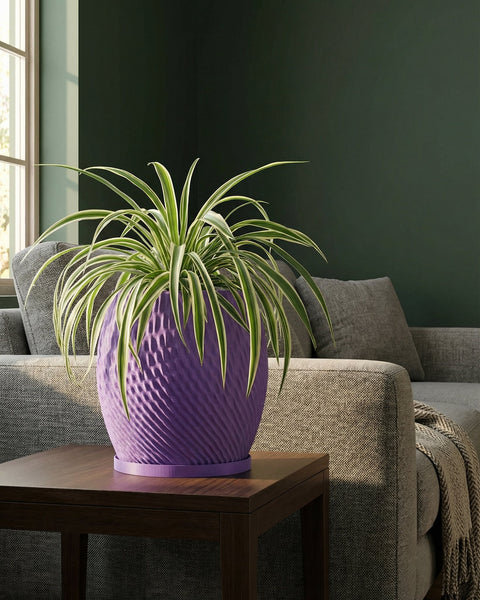 A spider plant in a purple planter pot sits on a dark wood table next to a gray sofa.