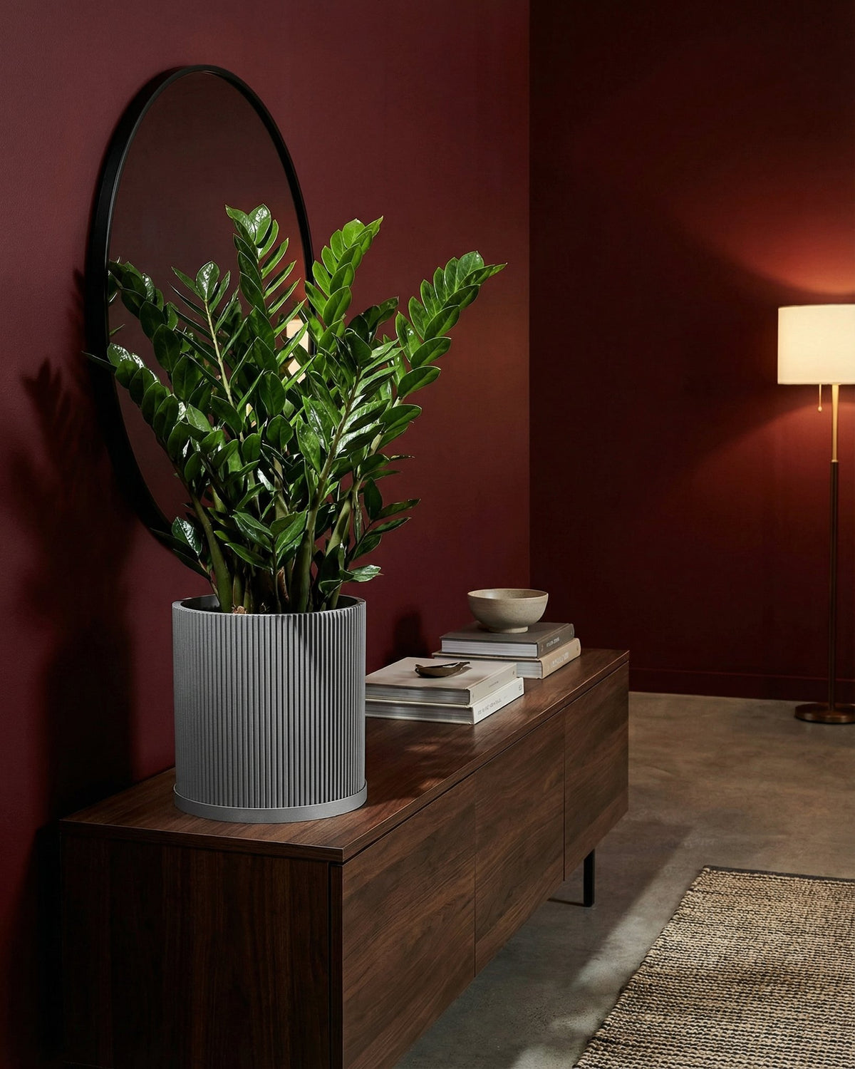 A ZZ plant in a gray, ridged planter pot sits atop a wooden cabinet against a deep red wall. A round mirror hangs behind the plant.