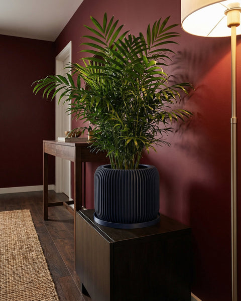 A blue planter pot with a green plant sits on a wooden console table in front of a blue wall with a round mirror.