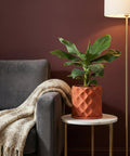 A terracotta planter pot with a diamond pattern holds a green plant on a marble-topped side table next to a gray sofa with a cream-colored throw.