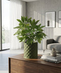 A large rubber plant in a green woven planter pot sits in a modern living room with a gray sofa and white curtains.