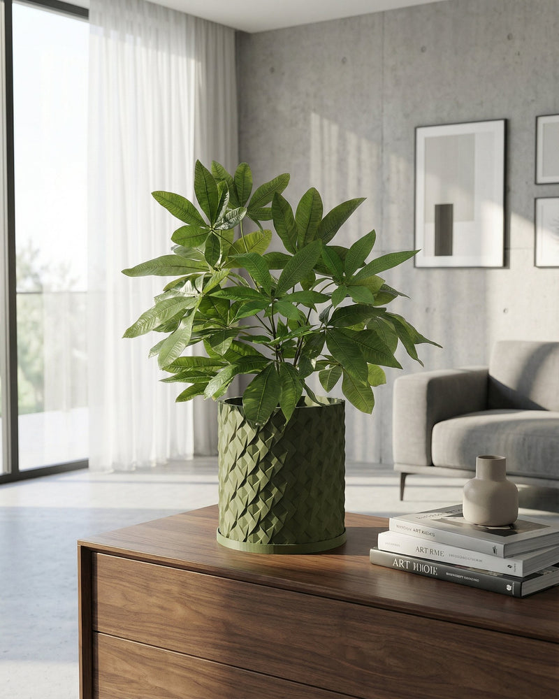 A large rubber plant in a green woven planter pot sits in a modern living room with a gray sofa and white curtains.
