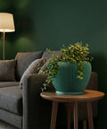 A green planter pot with a plant on a wooden table next to a gray couch and a lamp in a room with dark green walls.