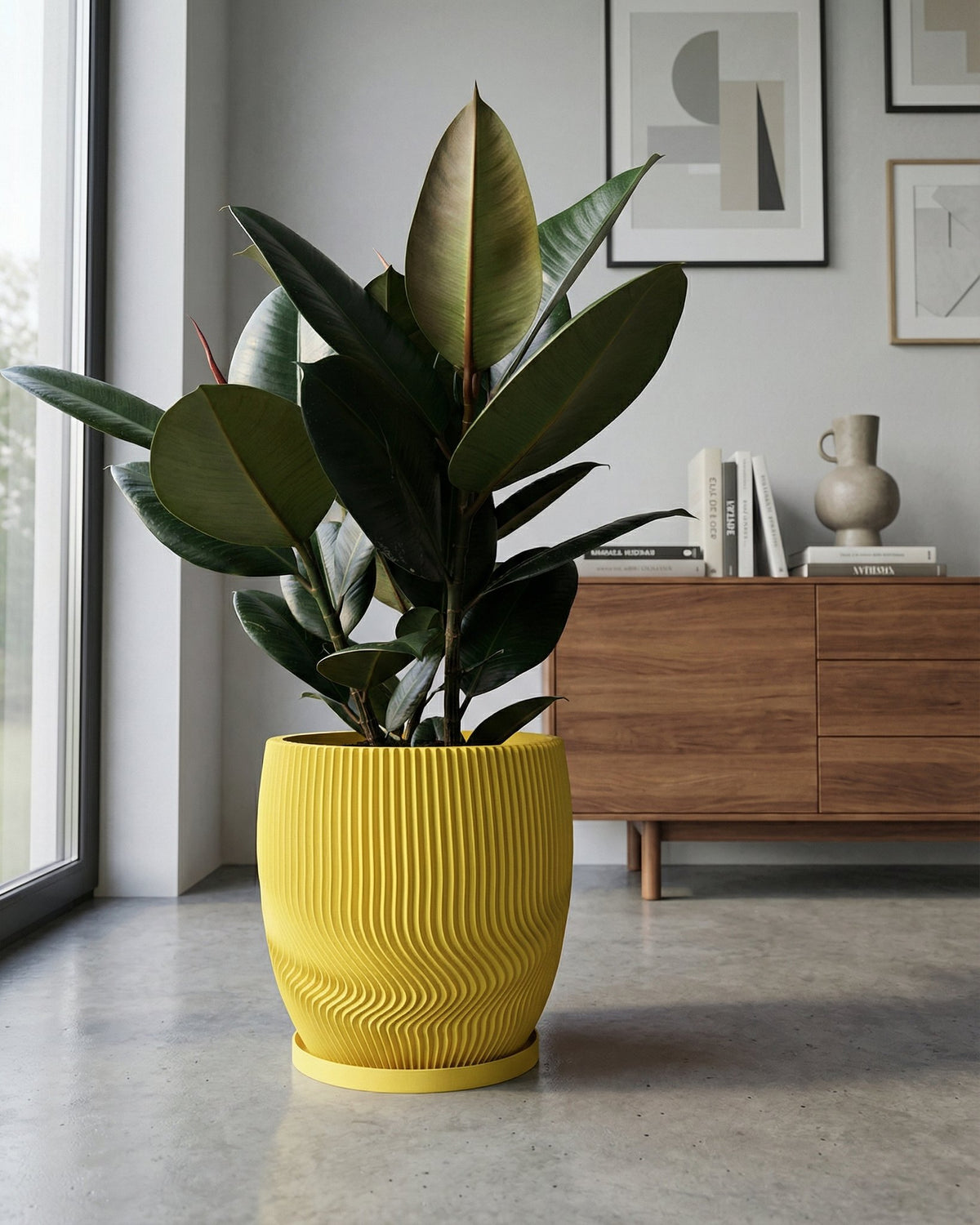 A rubber plant in a yellow planter pot sits on a gray floor in front of a window and a wooden cabinet with books and art on top.