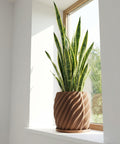 A snake plant in a brown, swirled planter pot sits on a white windowsill in front of a window.