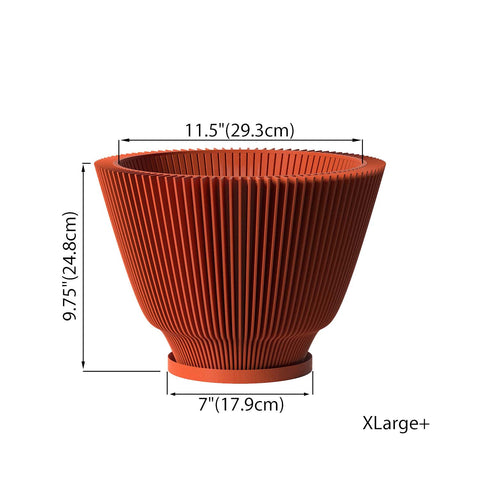 Terracotta Orange Dawn