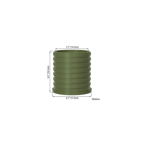 Avocado Green Slinky