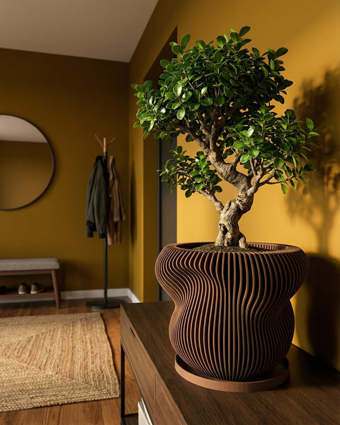 A polka dot begonia plant in a brown, ribbed planter pot sits on a concrete block in a sunlit room.