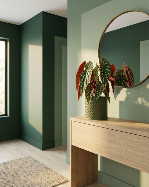 A green planter pot with a plant on a wooden table, with a mirror on the wall behind it. The room is painted in shades of green.
