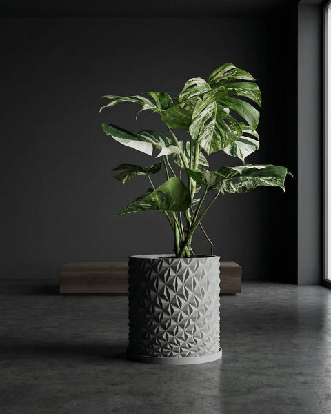 A variegated Monstera plant sits in a gray geometric planter pot on a gray floor.