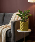 A banana plant in a textured, chartreuse planter pot sits on a marble-topped side table next to a gray couch with a cream-colored throw.