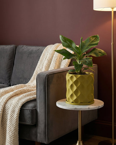 A banana plant in a textured, chartreuse planter pot sits on a marble-topped side table next to a gray couch with a cream-colored throw.