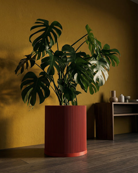 A large Monstera plant in a red, ridged planter pot sits against a yellow wall, with a wooden shelf and vases in the background.