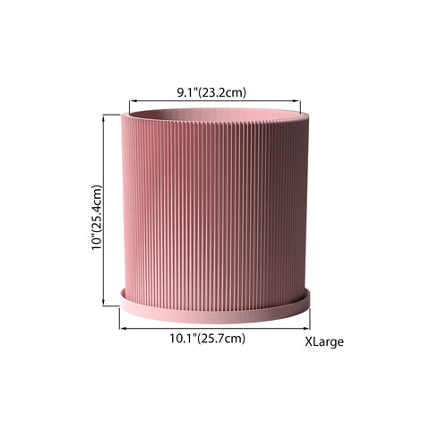 Candy Pink Ray