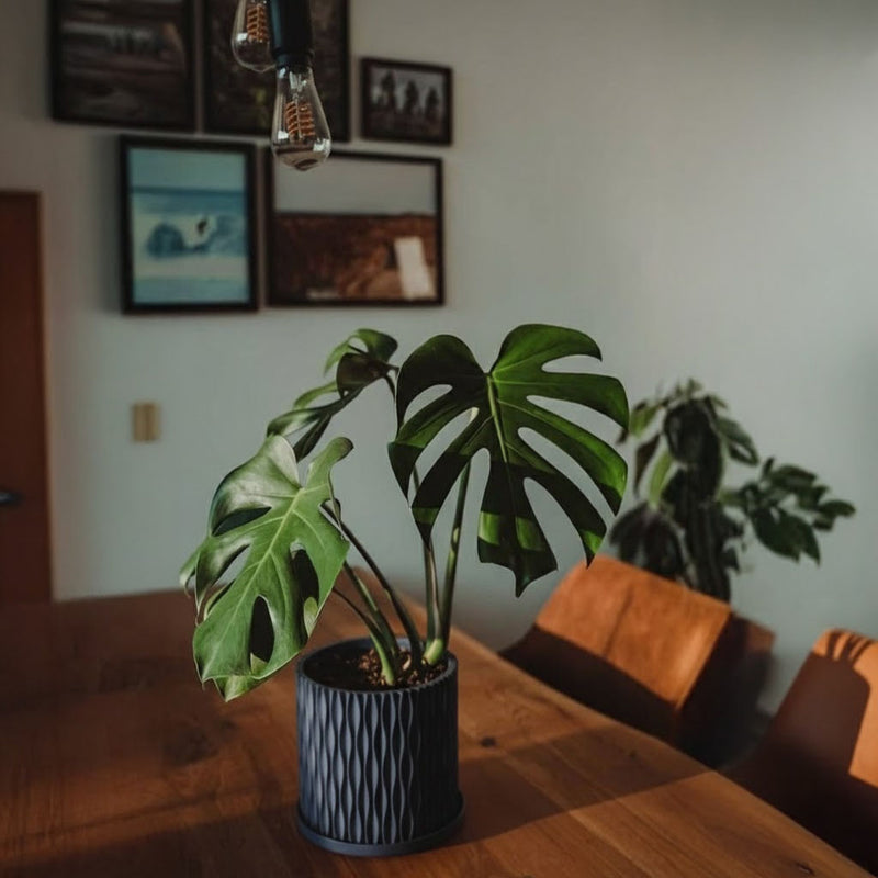 Deep Ocean Blue Mica