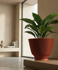 A close-up shot showcases a vibrant green plant nestled in a terracotta-colored planter pot. The pot features a unique vertical ribbed design, adding texture and visual interest. The plant and pot are placed on a wooden surface, with a large window providing natural light in the background. A minimalist shelf with decorative objects is visible in the corner, complementing the modern interior design.