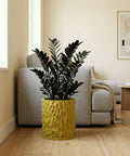 A yellow textured planter pot with a dark green plant sits on a wooden floor in front of a gray couch.