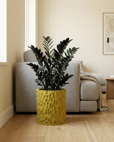 A yellow textured planter pot with a dark green plant sits on a wooden floor in front of a gray couch.