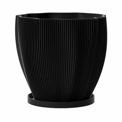 Charcoal Black Coconut
