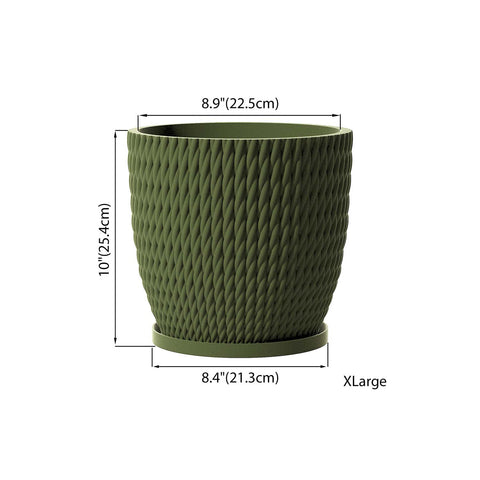 Avocado Green Vine