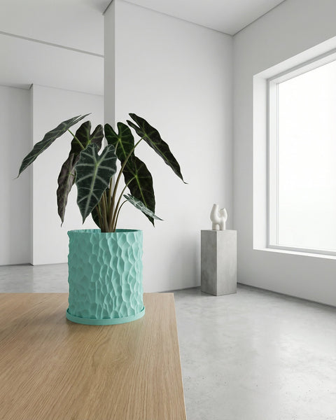 A turquoise planter pot with a plant sits on a wooden table in a bright, minimalist room. A white sculpture is on a gray pedestal near a window.